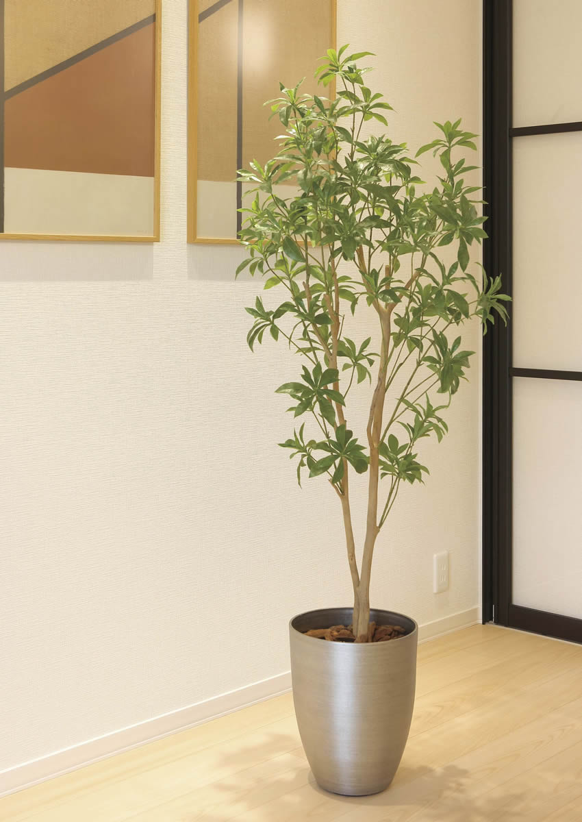 楽天市場】光触媒 光の楽園 スリムフィカストライアングル1.6m