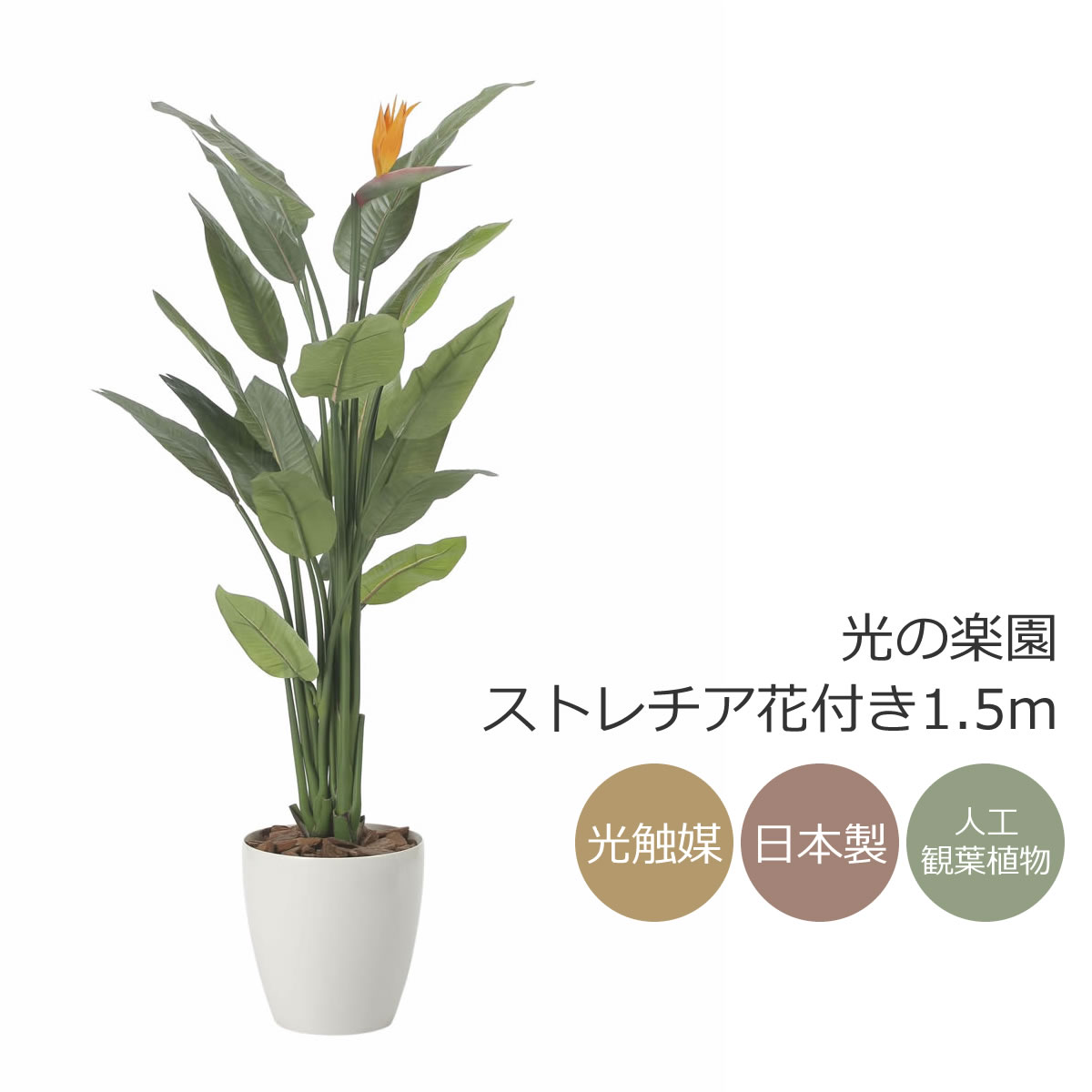 光触媒 光の楽園 ストレチア花付き1.5m【インテリア フェイクグリーン 人工観葉植物】(2565A500)（※ラッピング不可）