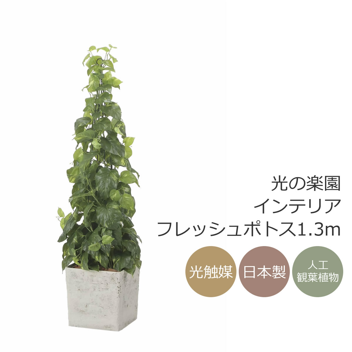 光触媒　人工観葉植物　ウォールグリーン　フェイクグリーン　ポトス高さ1.5m 楽天市場】【人工観葉植物】【ポトス壁賭け】【触媒加工】【送料