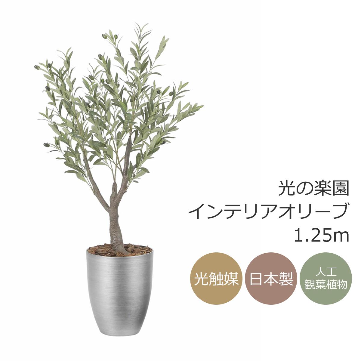 楽天市場】光触媒 光の楽園 インテリアフレッシュアセビ1.7m