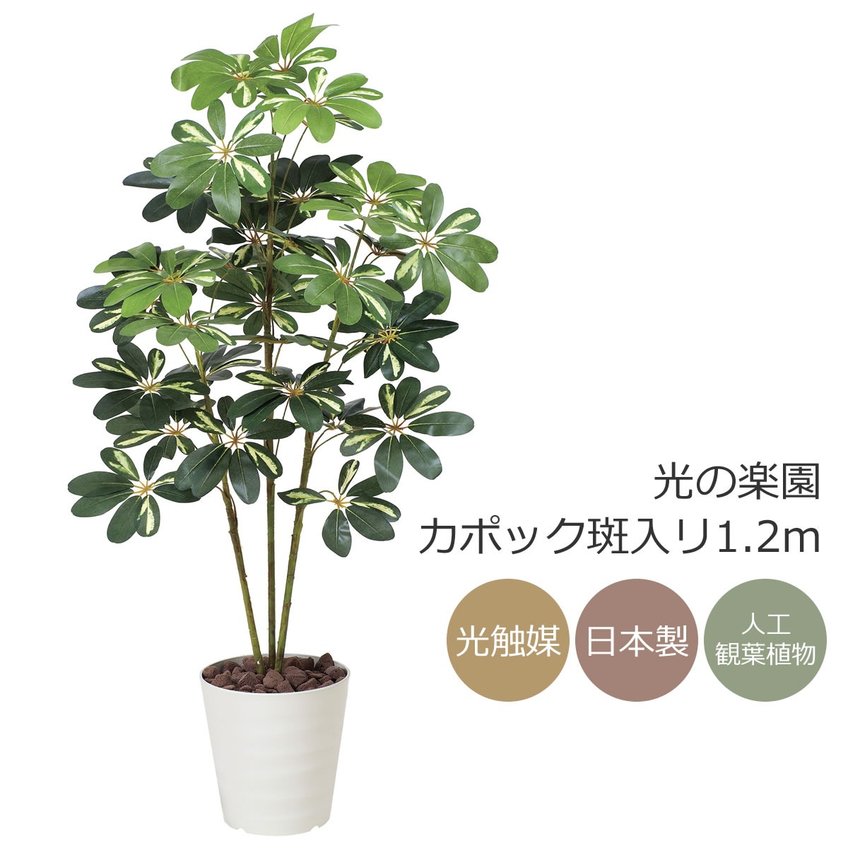 光触媒　人工観葉植物　ウォールグリーン　ハックルベリー1.25m 楽天市場】光触媒 光の楽園 ハックルベリー 高さ1.25m フェイク