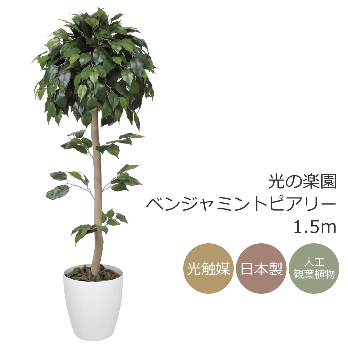 楽天市場】光触媒 人工観葉植物光の楽園 アルデシア(万両) 高さ 1.3m