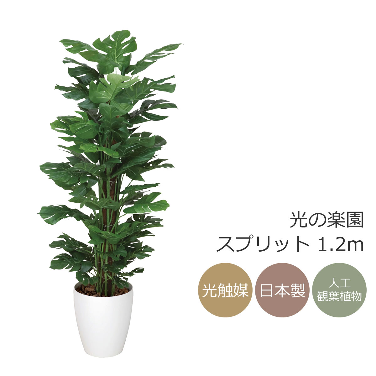 楽天市場】光触媒 光の楽園 ナチュラルライトトネリコ 1.1m フェイク