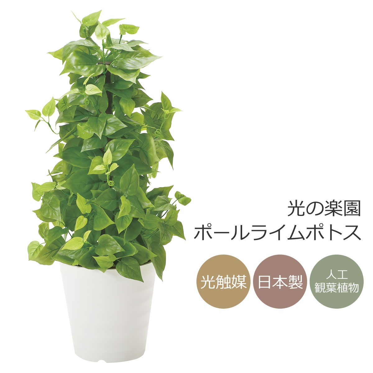 光触媒　人工観葉植物　フェイクグリーン　フレッシュマネーツリー 90 光触媒 人工観葉植物 フェイクグリーン フレッシュマネーツリー 90