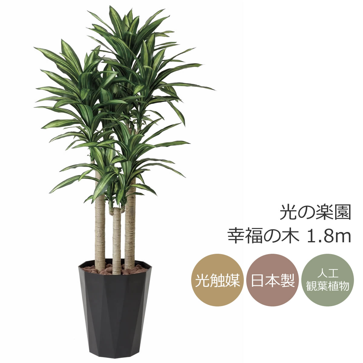 光触媒　人工観葉植物　ウォールグリーン　フィカスグリーン　フィカスフロリス 光触媒 人工観葉植物 ウォールグリーン フェイクグリーン