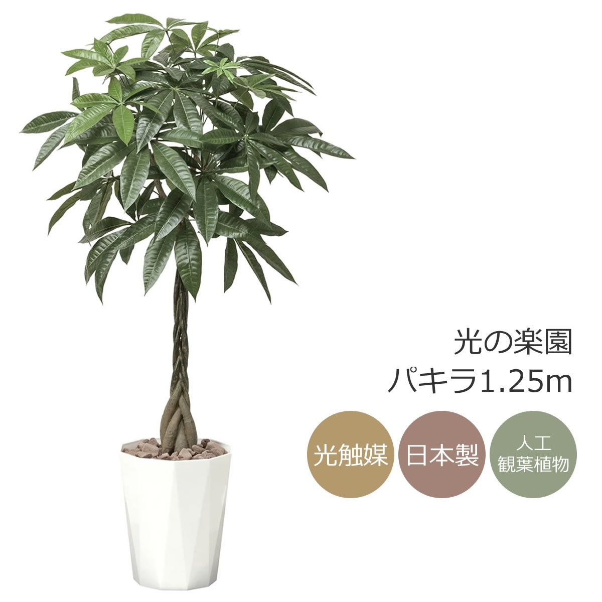 楽天市場】光触媒 人工観葉植物光の楽園 アルデシア(万両) 高さ