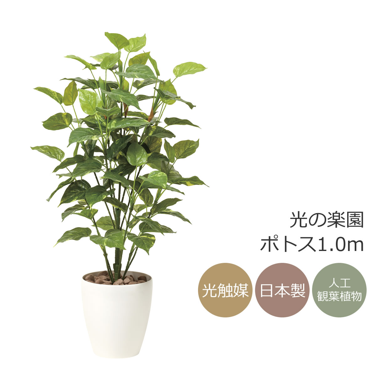 光触媒　人工観葉植物　ウォールグリーン　フェイクグリーン アルデシア130 光触媒 人工観葉植物 ウォールグリーン フェイクグリーン