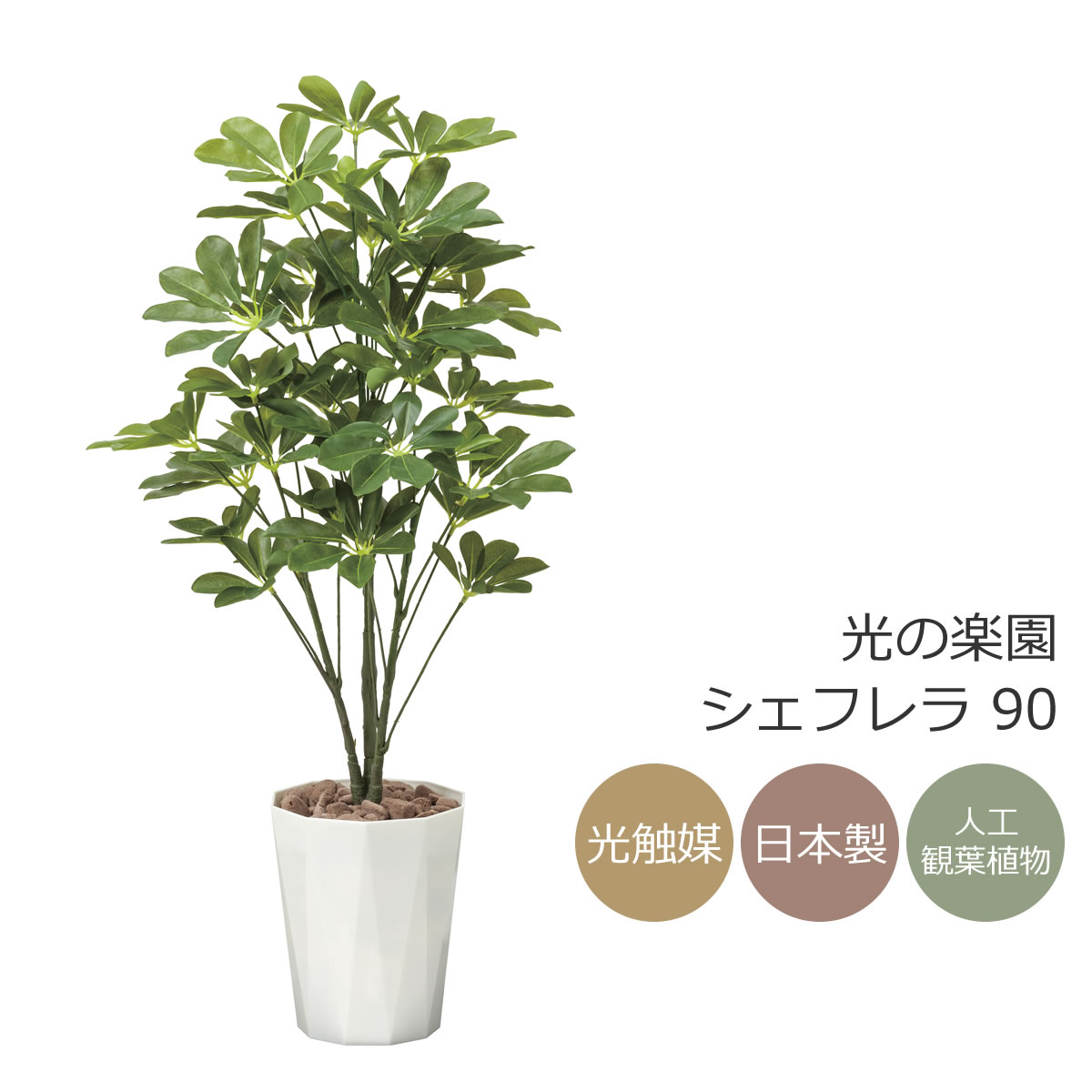 楽天市場】【光触媒加工】シェフレラ 150cm 1台お手入れ不要！手軽に