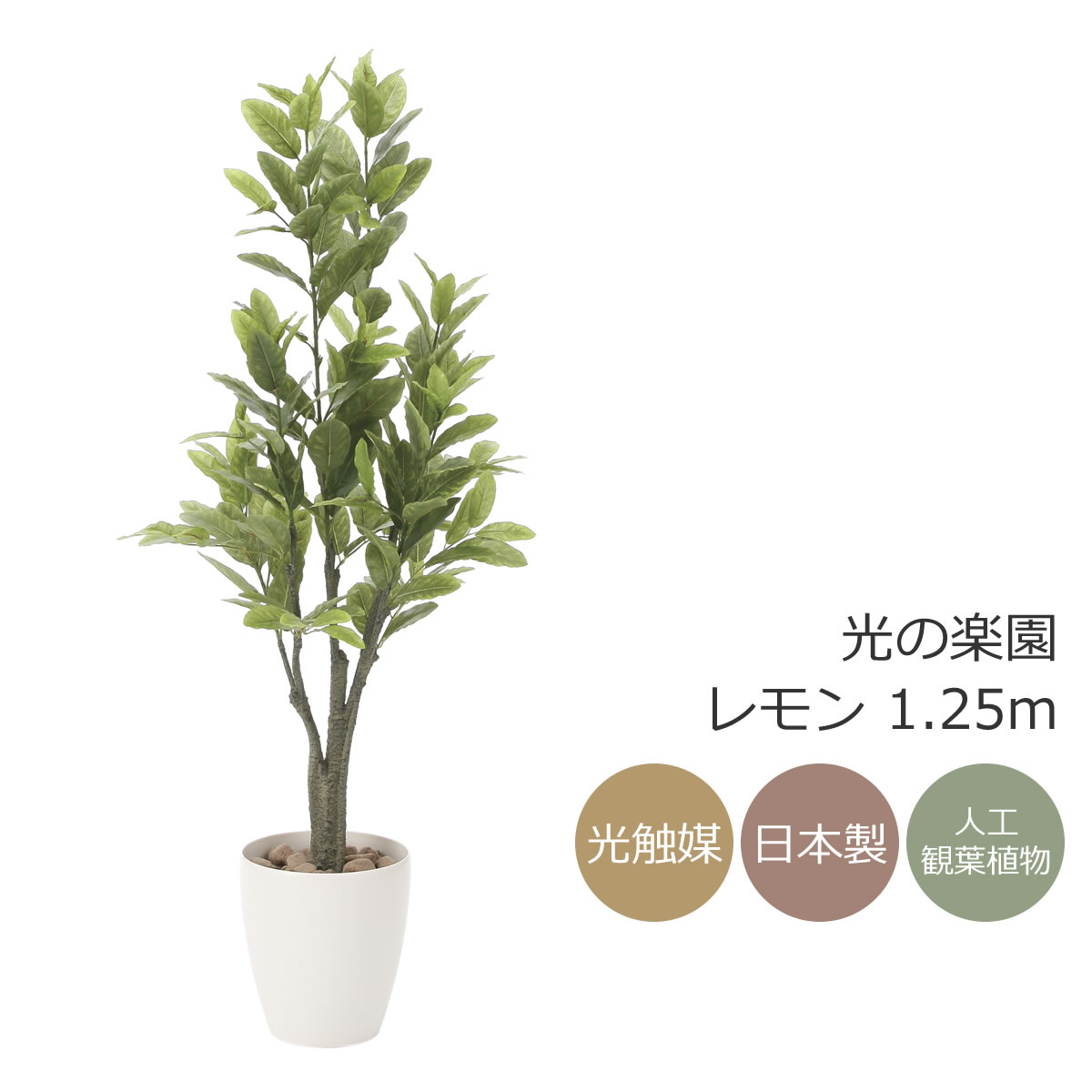 光触媒　人工観葉植物　ウォールグリーン　ハックルベリー1.25m 楽天市場】光触媒 光の楽園 ハックルベリー 高さ1.25m フェイク