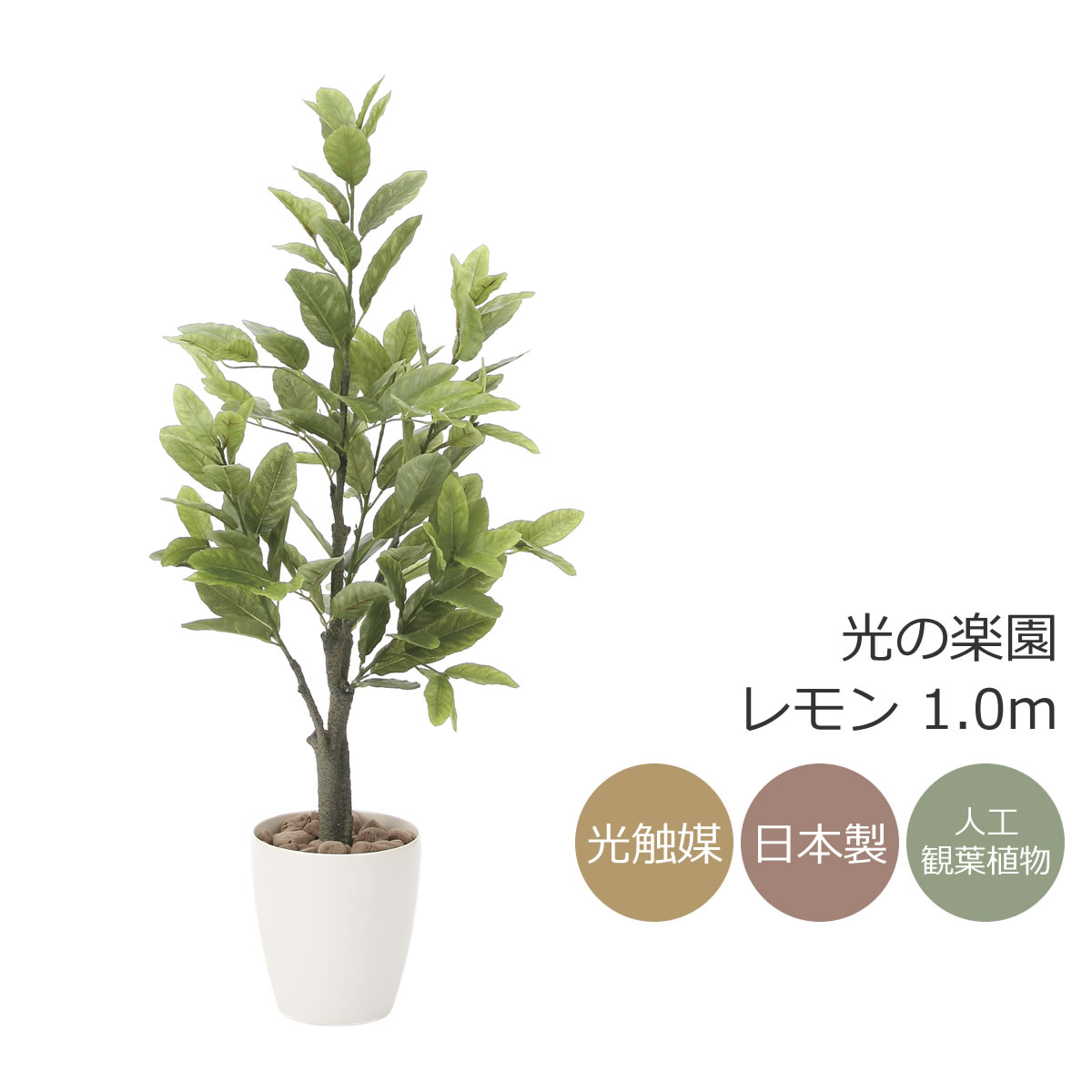 楽天市場】光触媒 光の楽園 パンの木90【インテリア フェイクグリーン