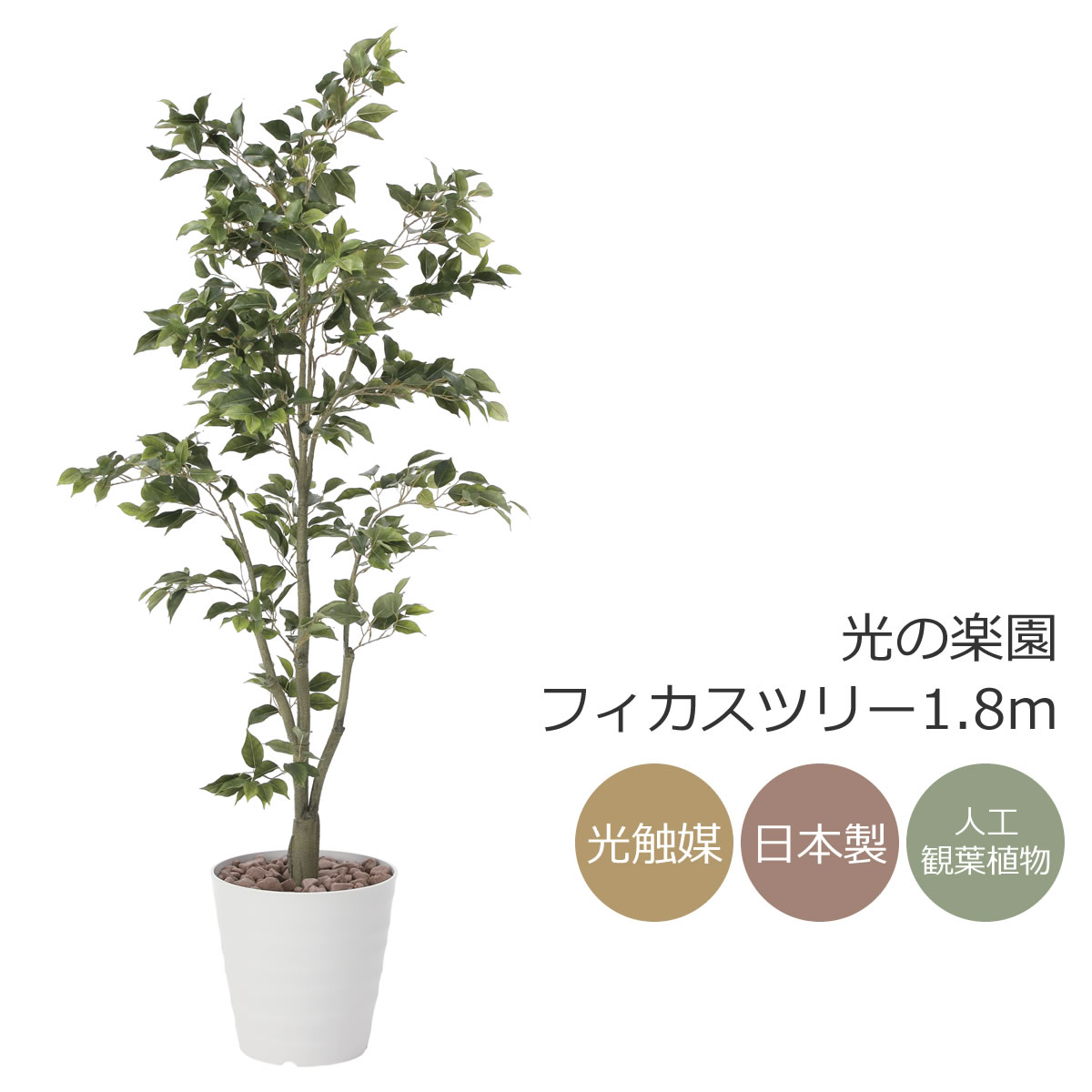 光触媒　人工観葉植物　フェイクグリーン　フィカスブランチツリー1.7 Amazon | 光触媒観葉植物 フィカスブランチツリー1.7 フロア