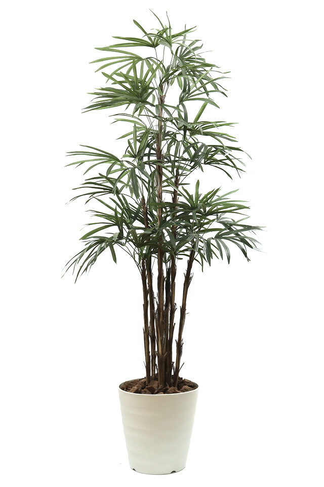 21正規激安 光の楽園 シュロチク 人工観葉植物一点ものグリーン014 高さ2 0m 花 観葉植物