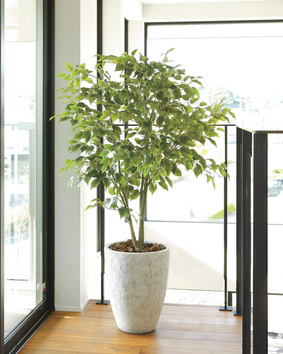 光触媒　人工観葉植物　ウォールグリーン　フェイクグリーン　フィカスツリー1.65 光触媒 人工観葉植物 ウォールグリーン フェイクグリーン