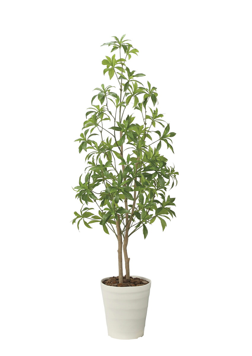 光触媒 光の楽園 フレッシュアセビ1.35m【インテリア フェイクグリーン 人工観葉植物】(2628A240)（※ラッピング不可）｜花と観葉植物の専門店 光の楽園 18,744円