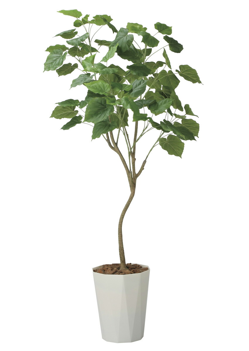 楽天市場】光触媒 光の楽園 ウッドボックスウンベラータ1.8m