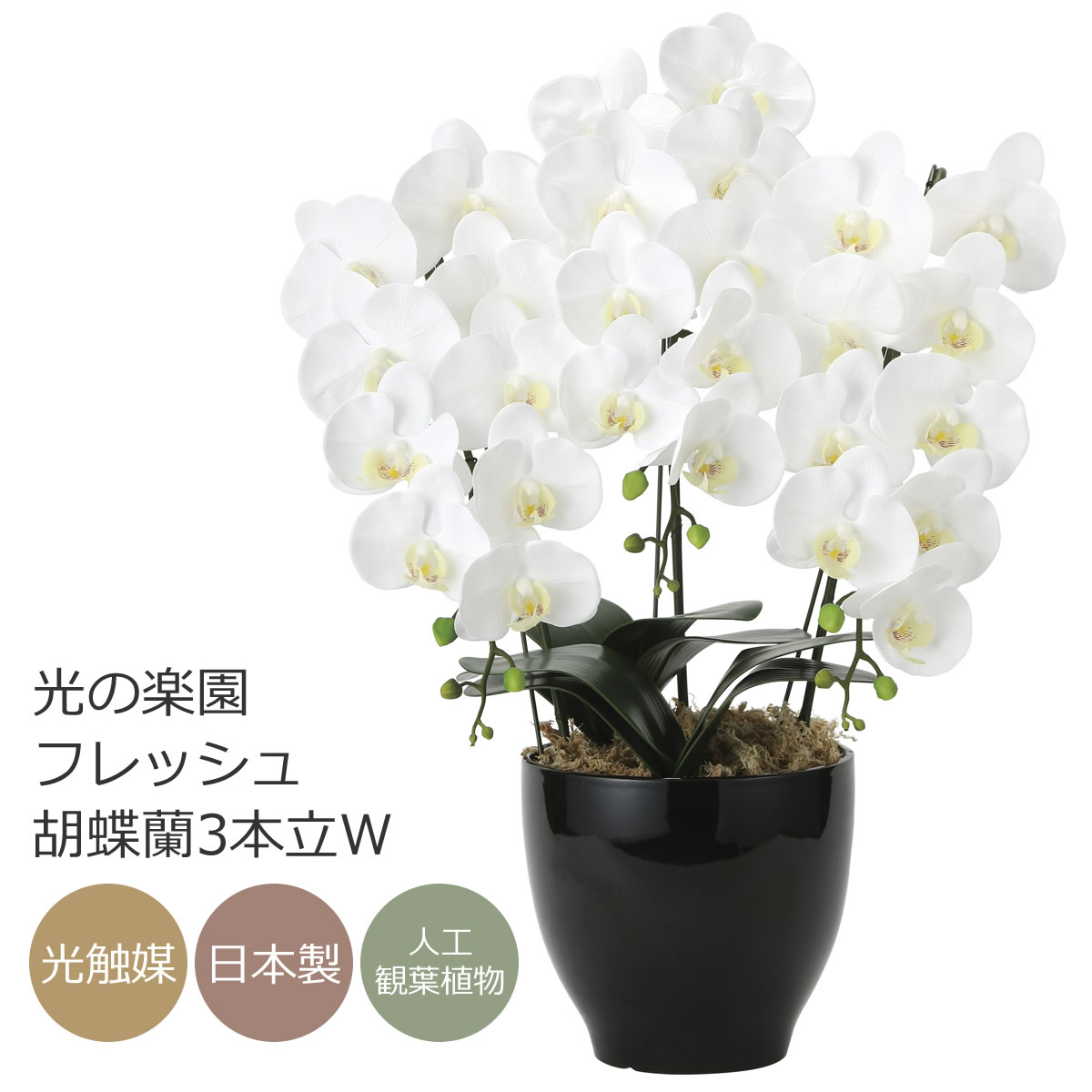 楽天市場】光触媒 造花光の楽園 クイーン胡蝶蘭5本立W/AB【ラッピング