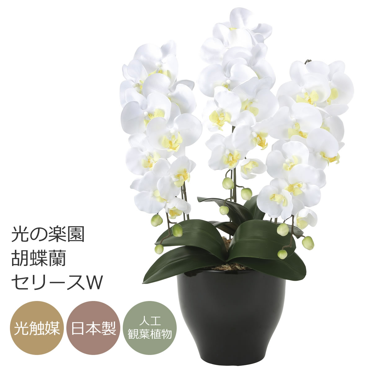 楽天市場】光触媒 光の楽園 胡蝶蘭セリースW/AB【アートフラワー 造花