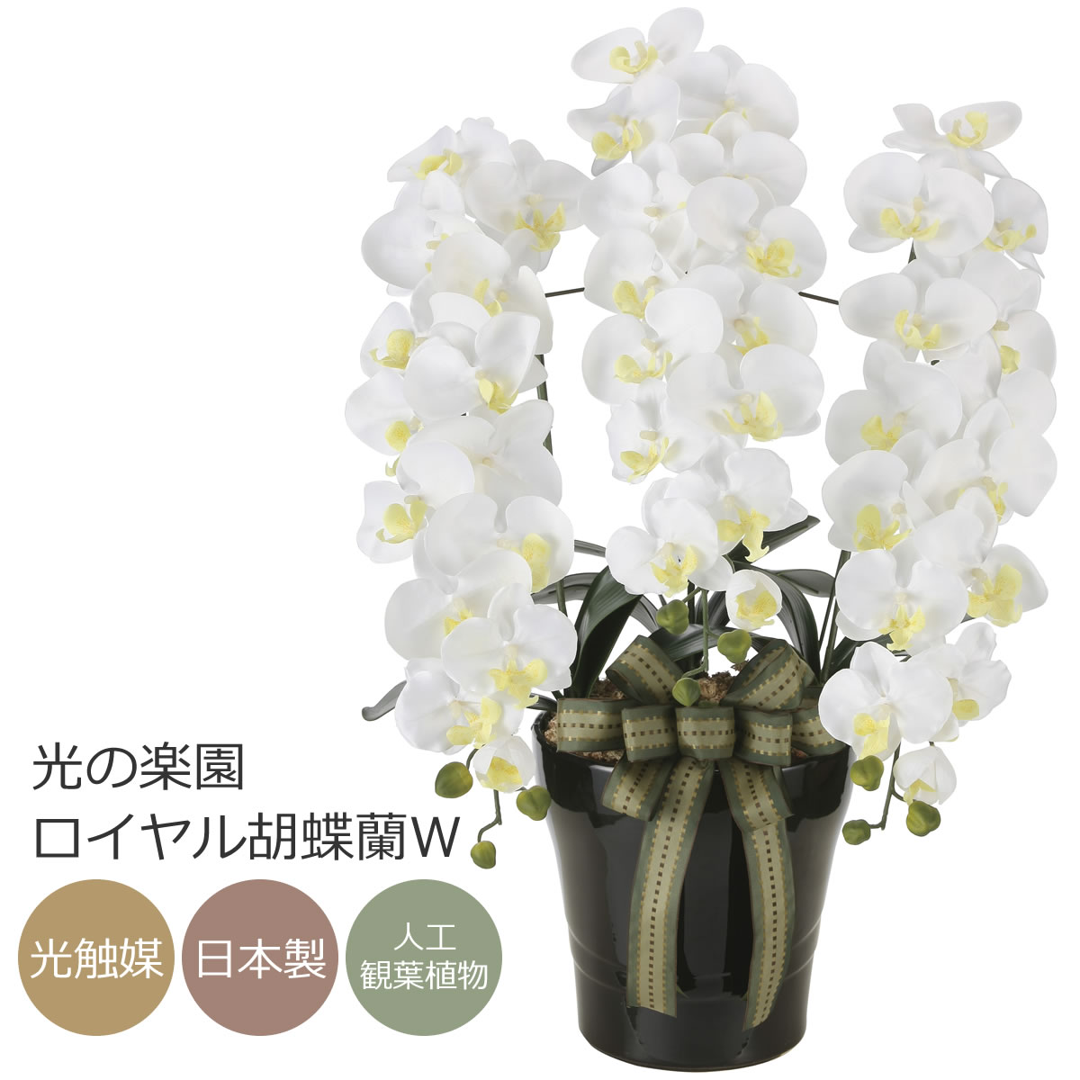 楽天市場】【送料無料】光触媒 造花光の楽園ロイヤル胡蝶蘭W/AB 3本
