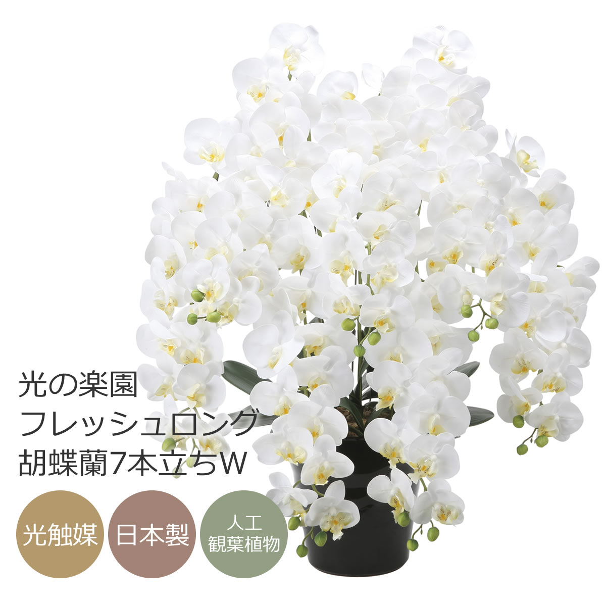 差し上げ物の選び方について