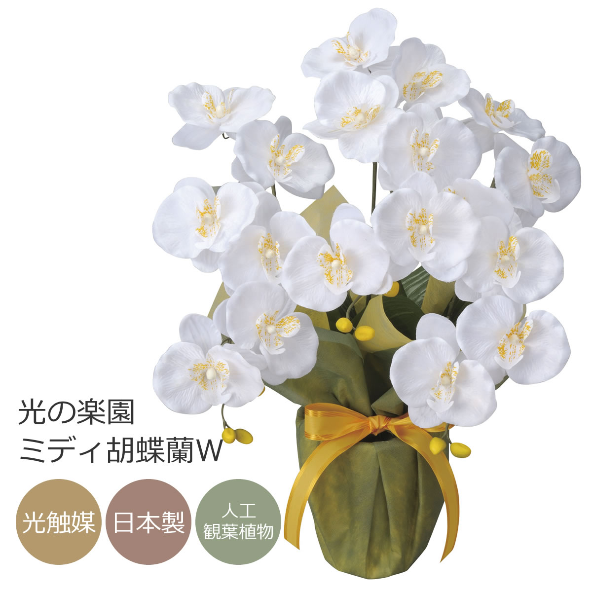 楽天市場】光触媒 光の楽園 胡蝶蘭セリースW/AB【アートフラワー 造花