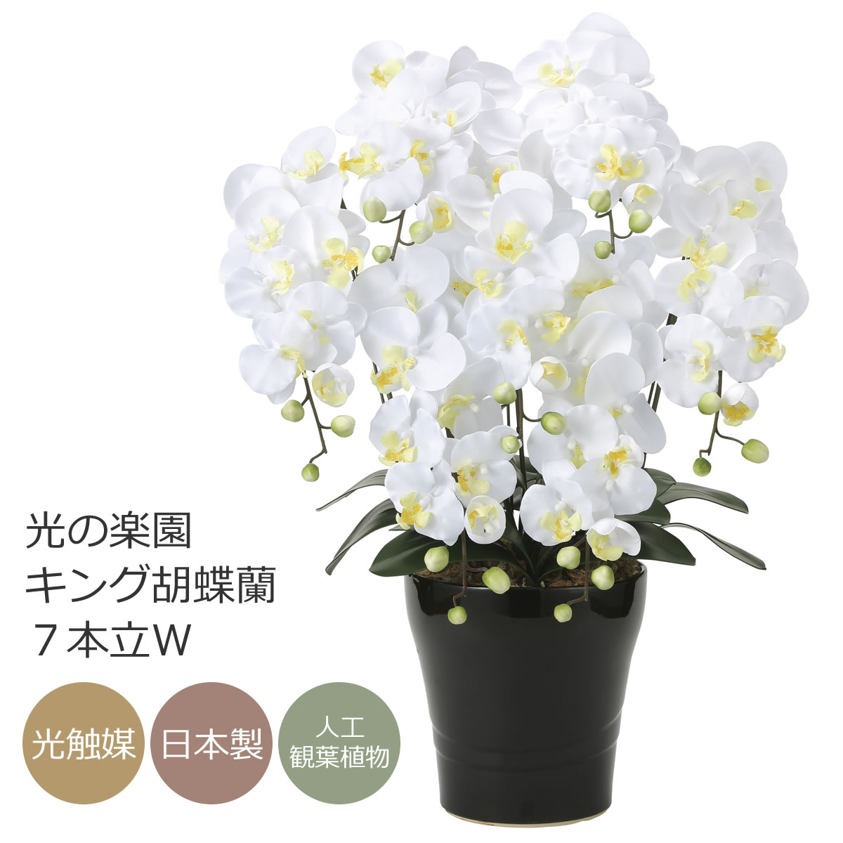 光触媒 胡蝶蘭（造花の胡蝶蘭） クイーン胡蝶蘭５本立Ｙ (開店・開院・開業 お祝い用) 光触媒 造花 光の楽園 クイーン胡蝶蘭5本立L 655A150 光触媒 造花 光の