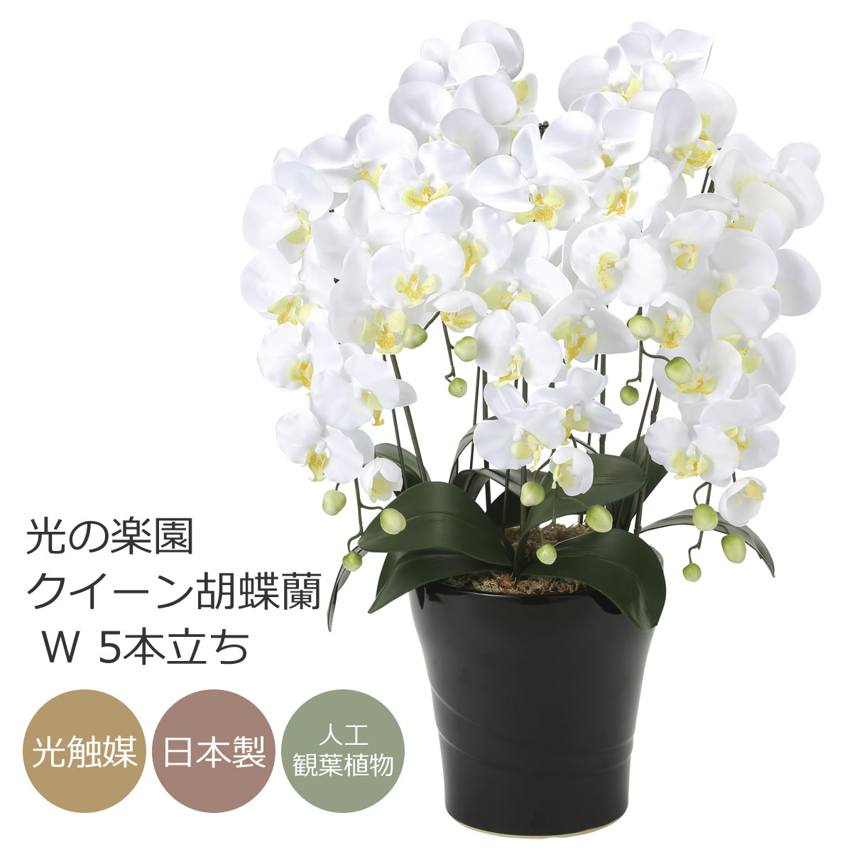 楽天市場】【取寄品】 フェイクグリーン 光触媒 胡蝶蘭7本立 薄ピンク