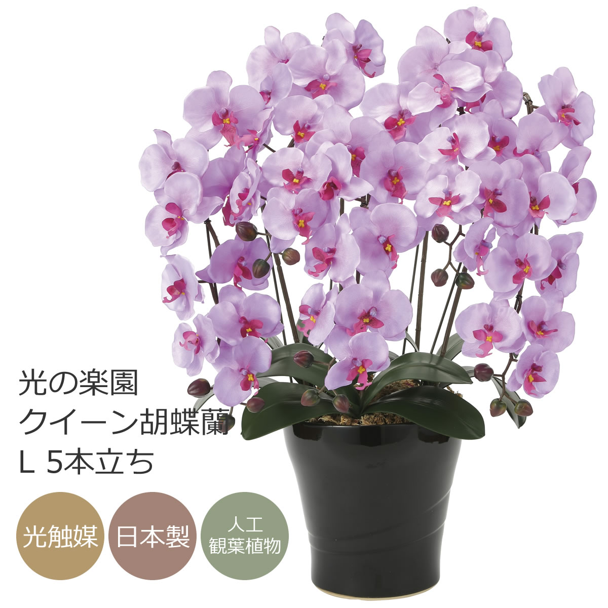 楽天市場】【取寄品】 フェイクグリーン 光触媒 胡蝶蘭7本立 薄