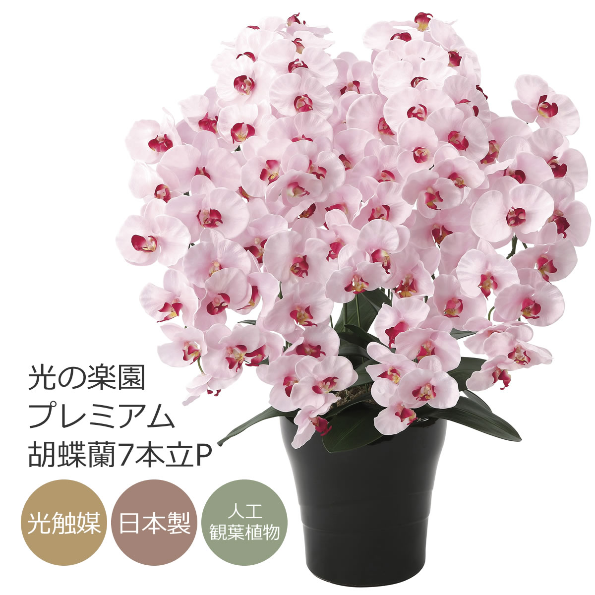 フランソワ　ピロ　赤と白の花　カーボンランダム　現代アート　一点もの フランソワ ピロ 赤と白の花 カーボンランダム 現代アート 一点もの