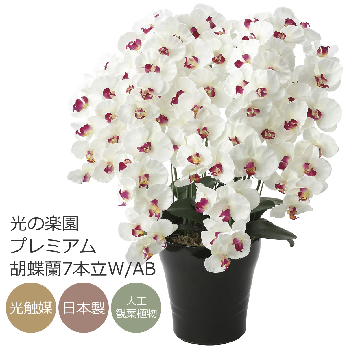 楽天市場】光触媒 アートフラワー光の楽園 ロイヤル胡蝶蘭 5