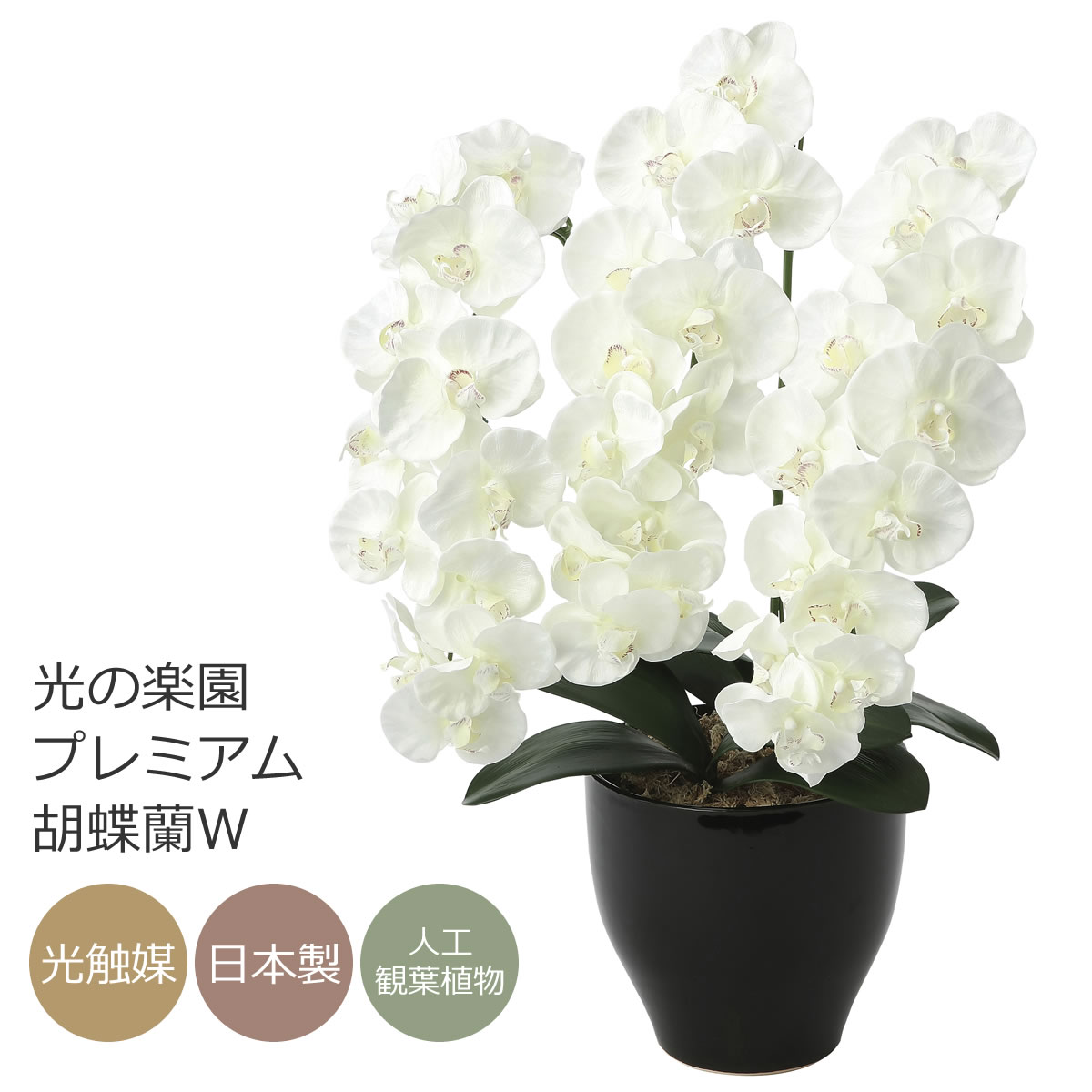 楽天市場】光触媒 造花光の楽園 クイーン胡蝶蘭5本立W/AB【ラッピング