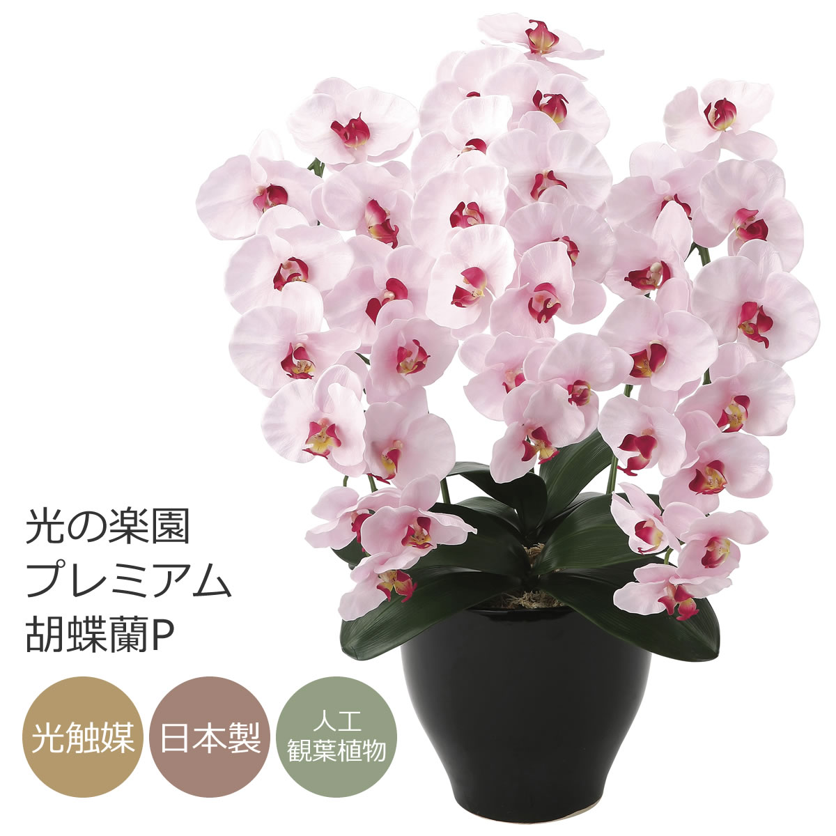 光触媒 光の楽園 プレミアム胡蝶蘭P【アートフラワー 造花 コチョウラン】(660K135)【ラッピング不可】