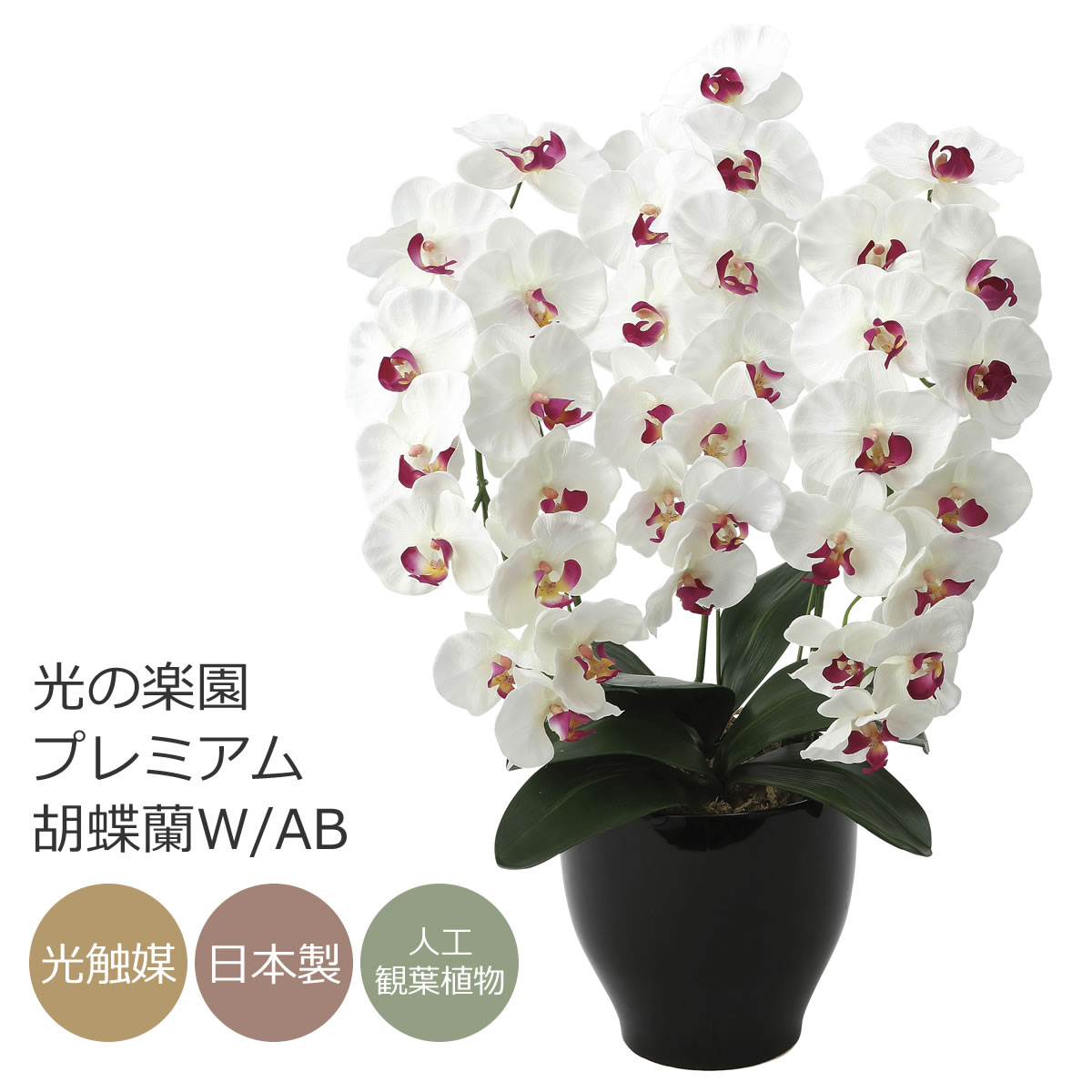 楽天市場】【送料無料】光触媒 造花光の楽園ロイヤル胡蝶蘭W/AB 3本