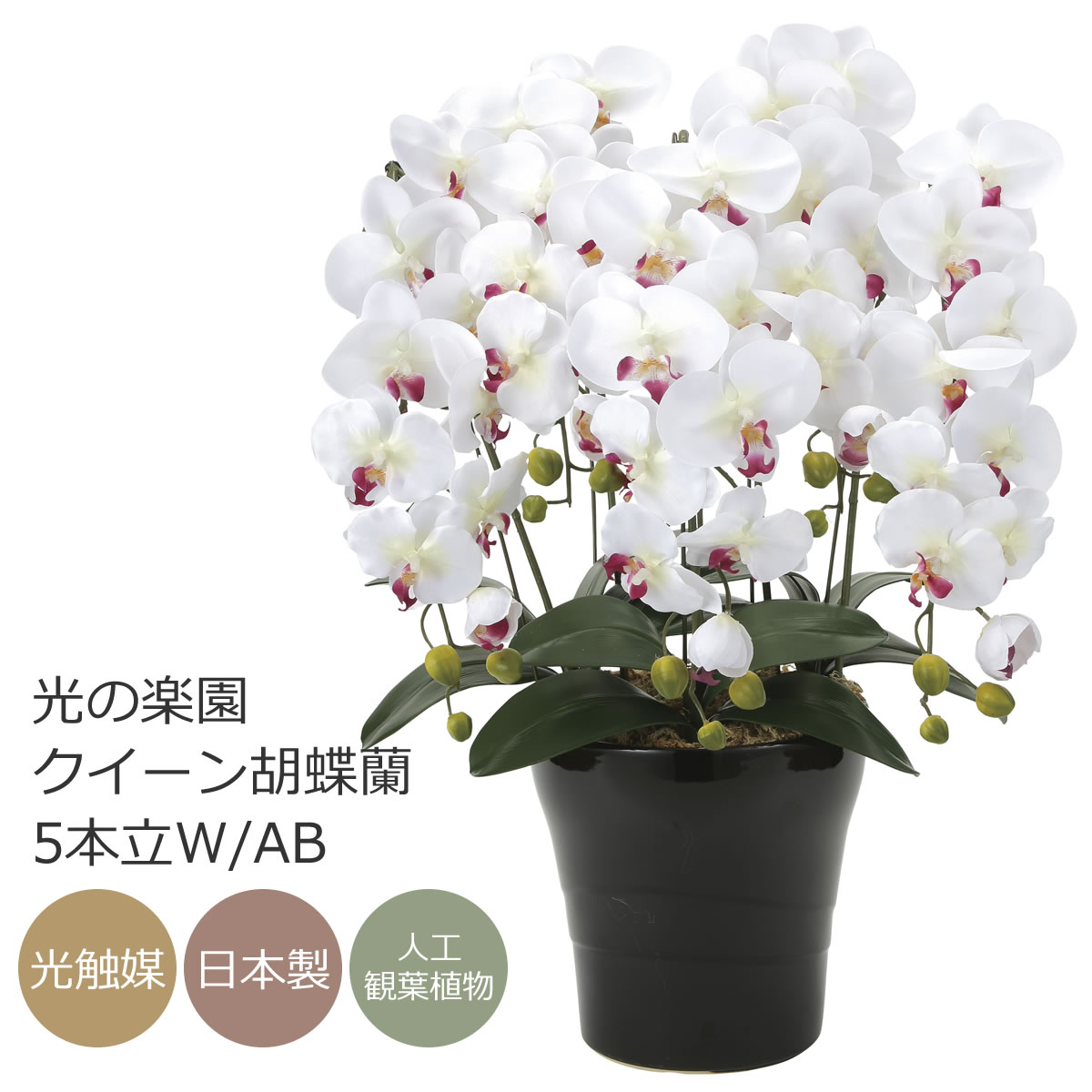 楽天市場】【送料無料】光触媒 造花光の楽園ロイヤル胡蝶蘭W/AB 3本