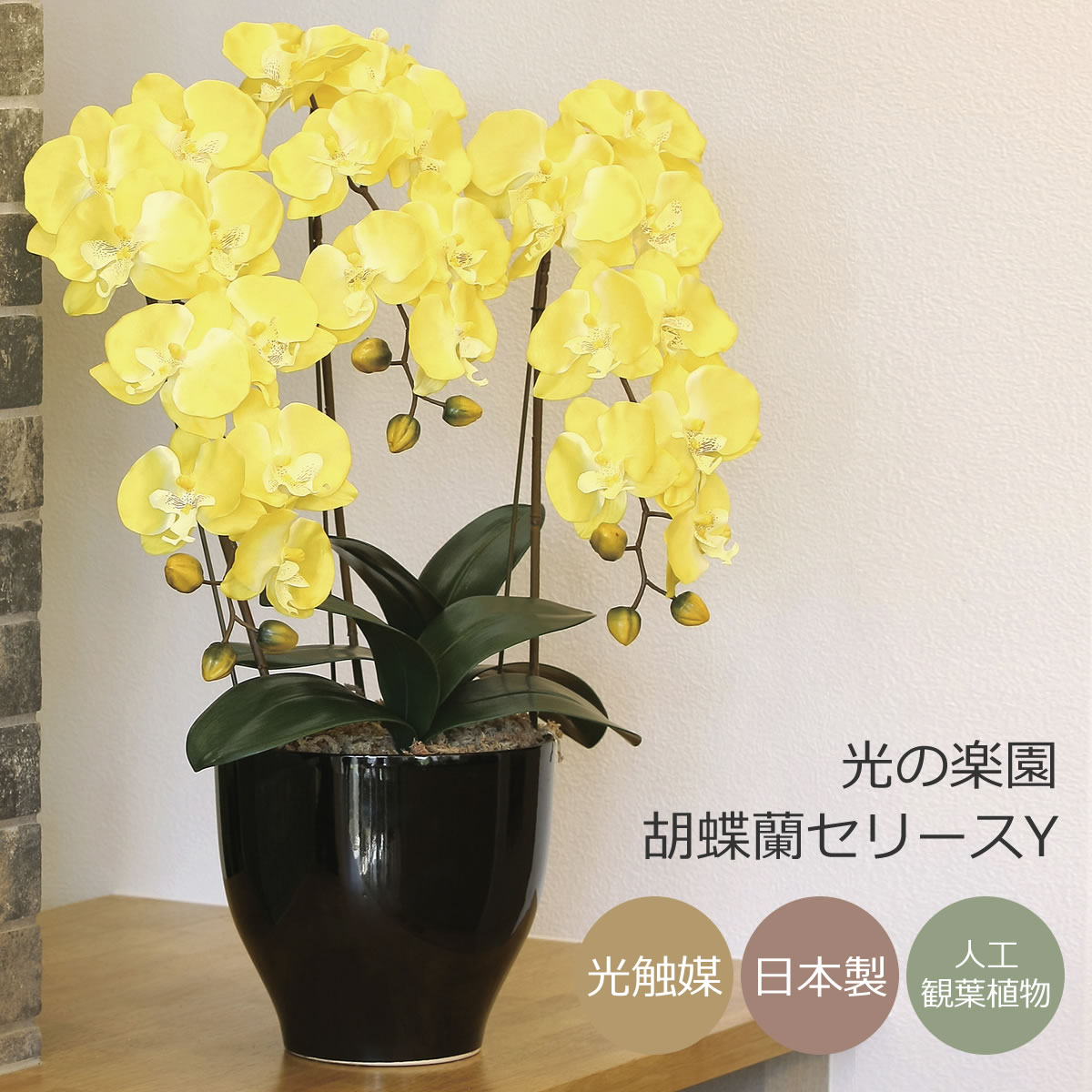 ✭日本製☆☆☆アートフラワー 胡蝶蘭セリースL 高さ66cm 光の楽園 楽天市場】光触媒 光の楽園 胡蝶蘭セリースW/AB【アートフラワー 造花