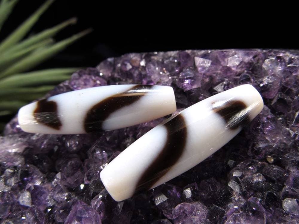 楽天市場】※訳あり※【チベット高級至純天珠】金剛虎牙六眼天珠38×12