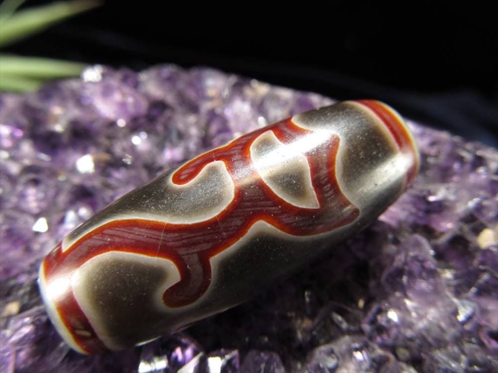 楽天市場】【当店オススメ】 流通量が少ない激レア品！ 黒鳶赤紋（くろ