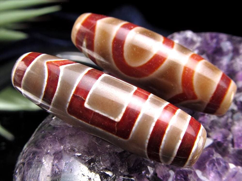 楽天市場】【当店オススメ】 流通量が少ない激レア品！ 黒鳶赤紋（くろ