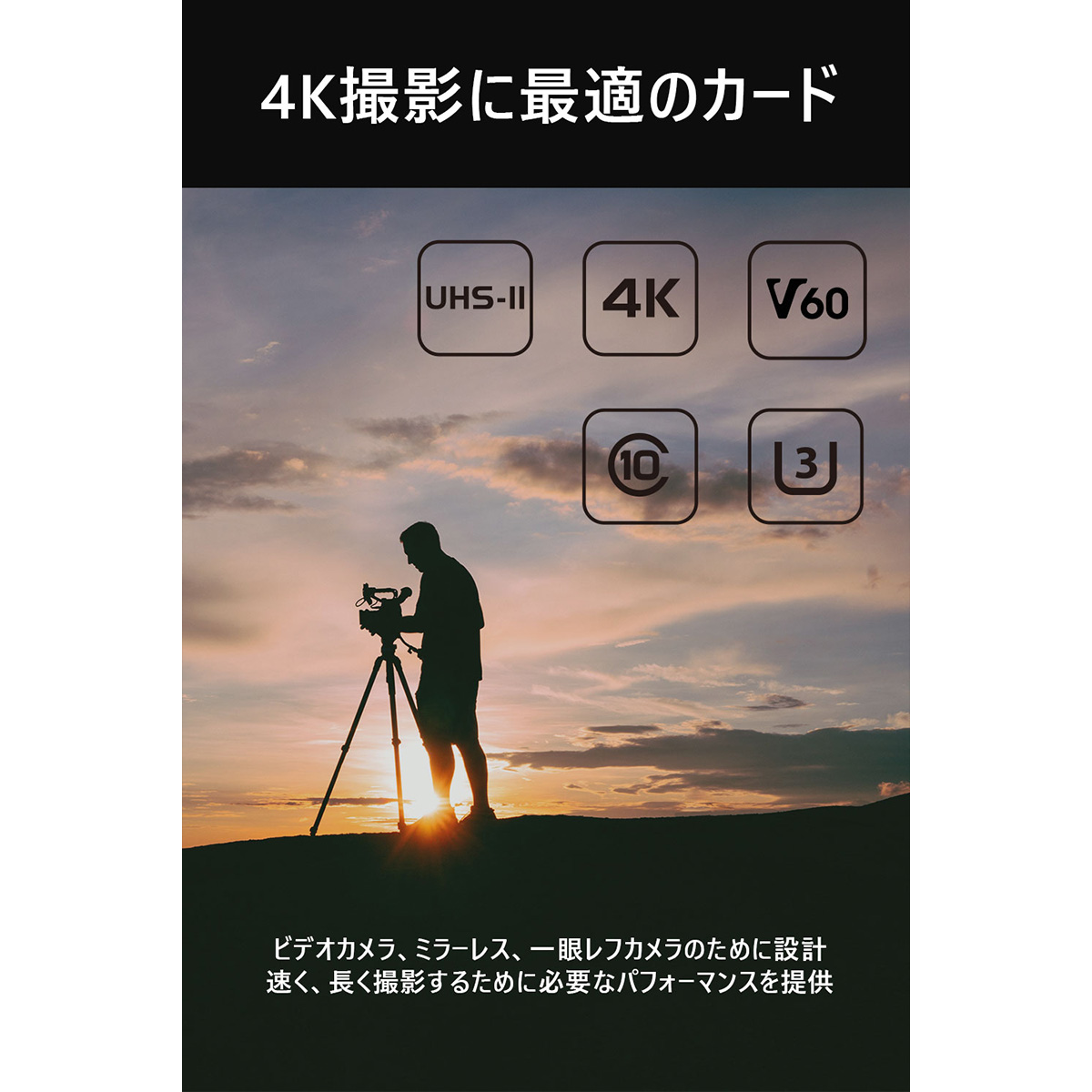 在庫あり/即出荷可】 SUNEAST メモリーカード SD UHS-II pSLC V60 256GB SE-SDU2256GB280  pacific.com.co