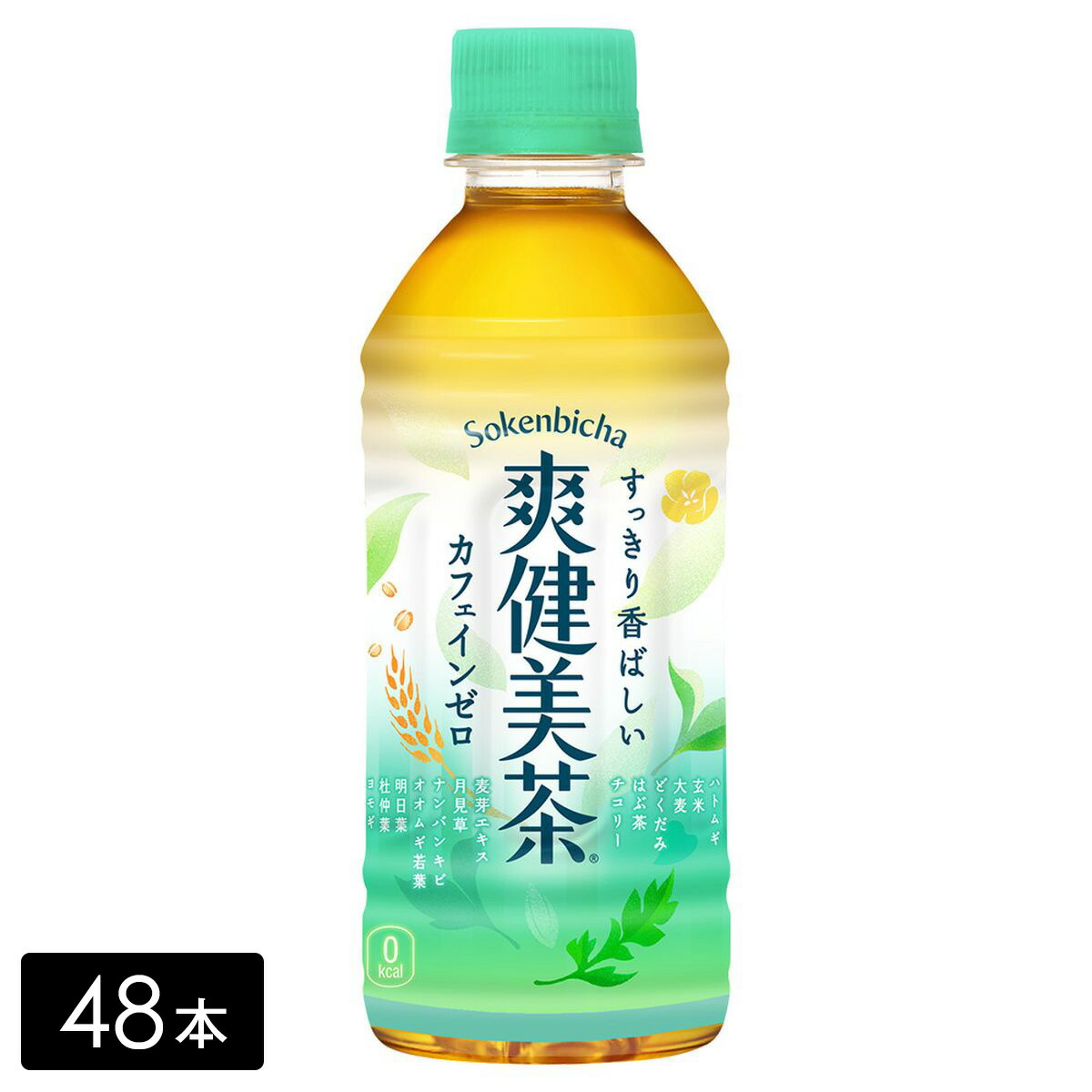 4540000168_k.jpg
