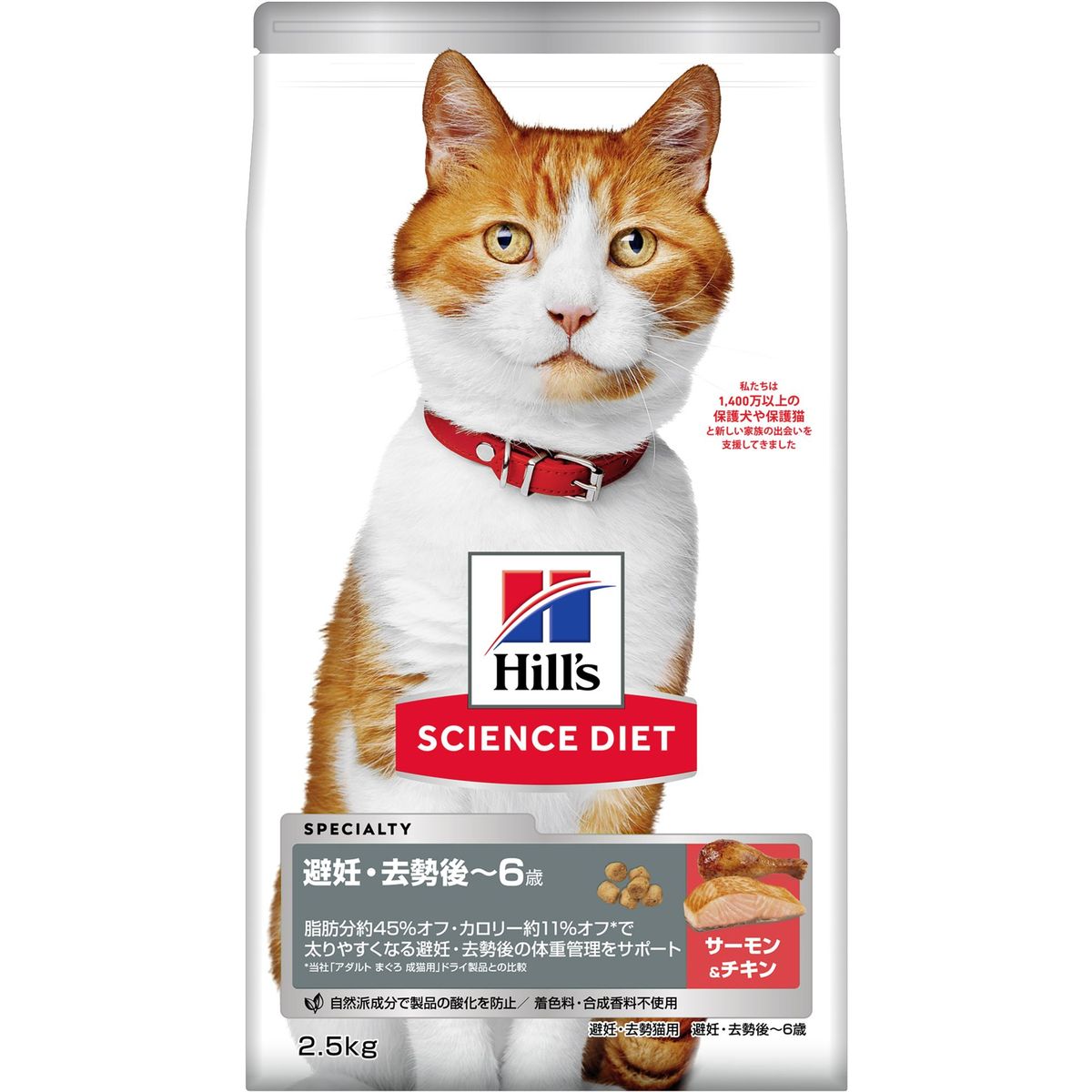 5枚刃を手のうちに。編成替えの子ヒツジ短距離競走 パームイン特集 猫用品-キャットフード-ペット・ペットグッズ