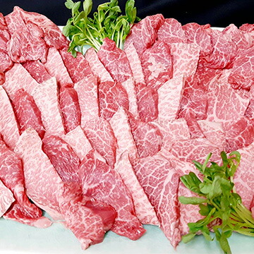 食肉の店福田屋 【冷凍】信州プレミアム牛焼肉1kg肩肉500gモモ肉500g