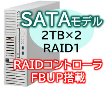 NEC T110m-S Xeon 4C/16G/2TB*2/R1/W22 NP8100-3024YQQY