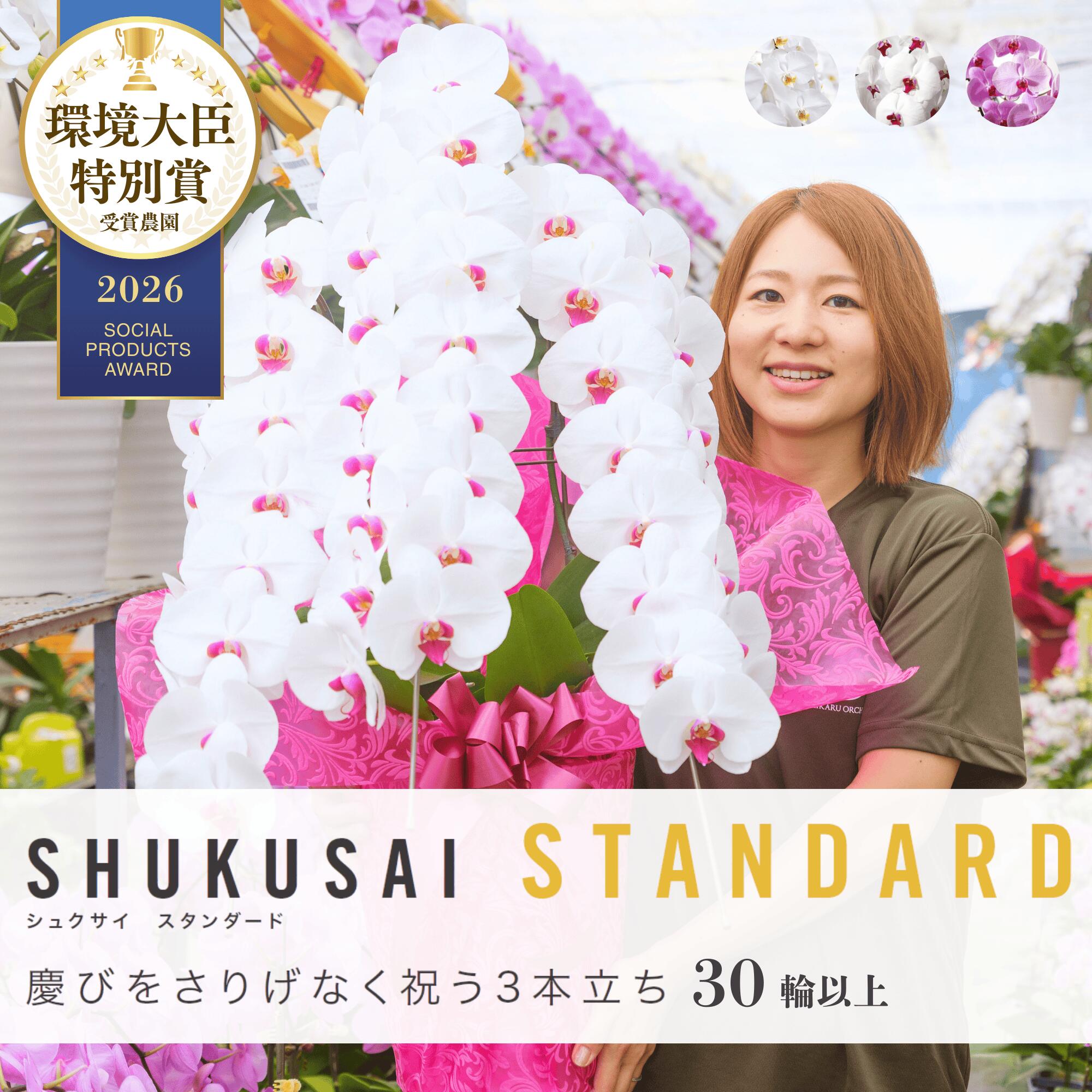 ＼選べる３色／ 母の日に◎夢見鳥蘭 大輪 3本立ち 30輪以上（蕾込）開店祝賀会 入会祝賀会 移し替える 開業 差し上げ物 生け花  各種儀式用差し上げ物やお供えに【北海道・沖縄・離島へのお届け不可】