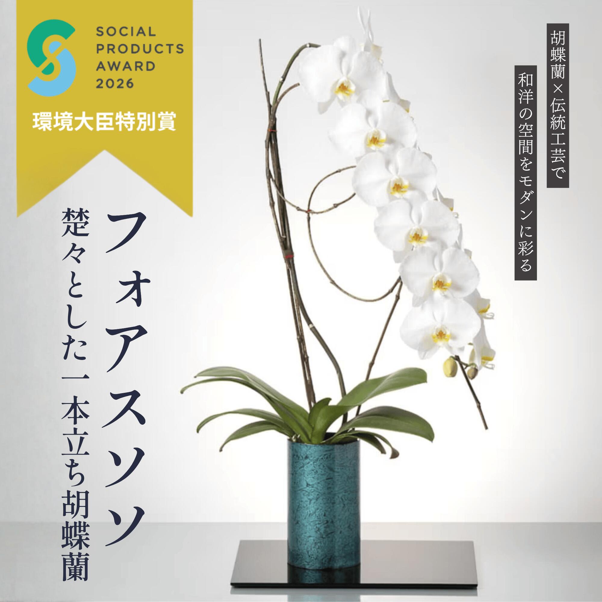 ＼言い慣わし芸術×夢見鳥蘭／ midi夢見鳥蘭  お色選べる1本立ち 生け花 漆ペンキ塗り花器 待ち合い室 話し合い室 生け花 各種御祭り差し上げ物やお供えに【北海道・沖縄・離島へのお届け不可】