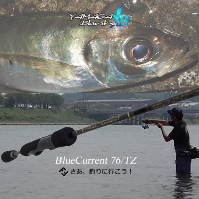 【楽天市場】ヤマガブランクス アジングロッド ブルーカレント 76/TZ（4560395512701）YAMAGA Blanks Blue