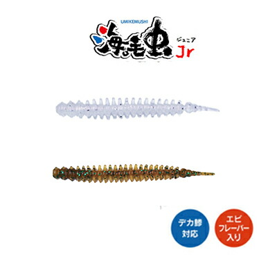 楽天市場】【 お買い物マラソン ポイント5倍 】ガルツ 中通し
