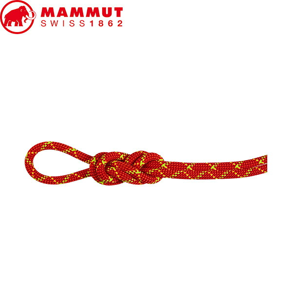マムート MAMMUT ロープ クライミング用品 8.0 Alpine Core Protect Dry Rope 40m fire-halo クライミングロープ 登山 山登り MAM2010050303788