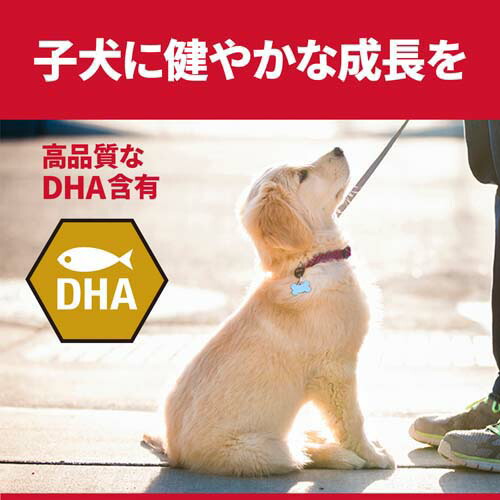 学問食事制限 授業計画 犬役割 健康さ禦ぎ 熟れる 微塵 12ヶ月 受胎 授乳期 3 3kg 4カバン一組 サイエンスダイエット Iraklis1908 Gr