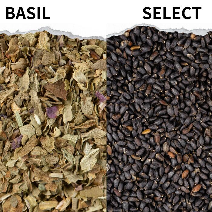 【楽天市場】インド産 バジルリーフ 50g～ 選べる バジルチップ basil leaf 万能調味料 調味料 カレー カレー粉 カレースパイス