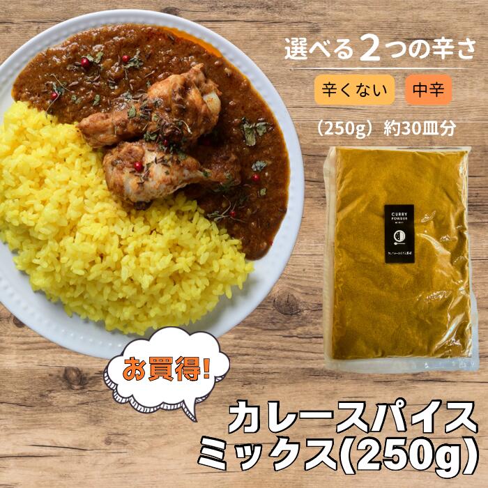 moko♡即購入大歓迎！！14種類のスパイス! カレーパウダー100gｘ5 moko♡即購入大歓迎！！14種類のスパイス! カレーパウダー